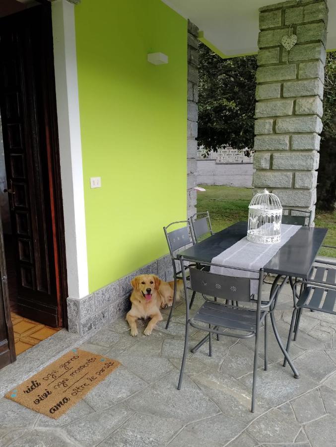 Bed and Breakfast Il Faggio Beura Экстерьер фото